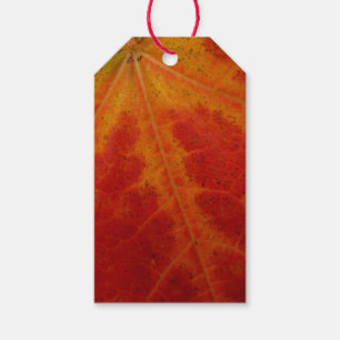 Étiquettes-cadeau Feuille d'érable rouge Abstraite Automne Photograp