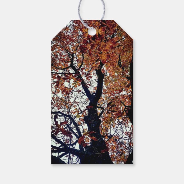 Étiquettes-cadeau Feuille d'or (Devant)