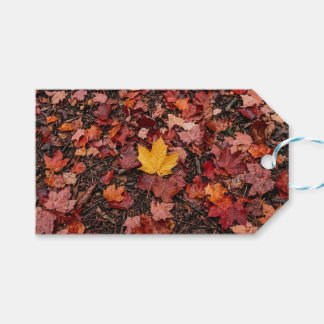 Étiquettes-cadeau Feuilles d'automne