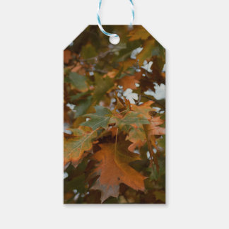 Étiquettes-cadeau Feuilles d'automne