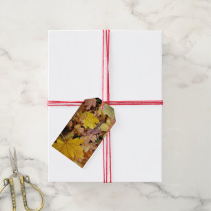 Étiquettes-cadeau Feuilles de Érable Tombées Jaune Automne Nature