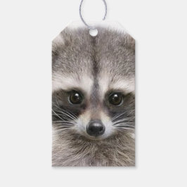 Étiquettes-cadeau Figure Raccoon Sur La Balise Cadeau