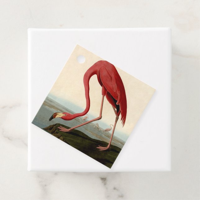 Étiquettes Cadeau Flamant rose américain d'Audubon (En situation)