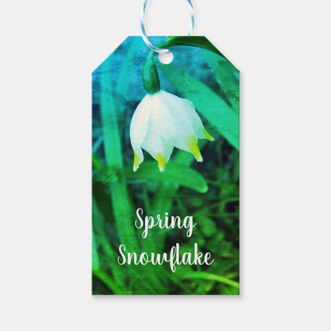 Étiquettes-cadeau Flèche de neige de printemps Leucojum vernum (Devant)