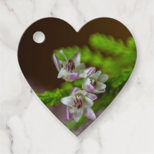 Étiquettes Cadeau Fleur de printemps de Heather à feuillage persista