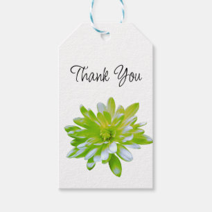 Étiquettes-cadeau Fleur vert vert vert vert pâle marguerite