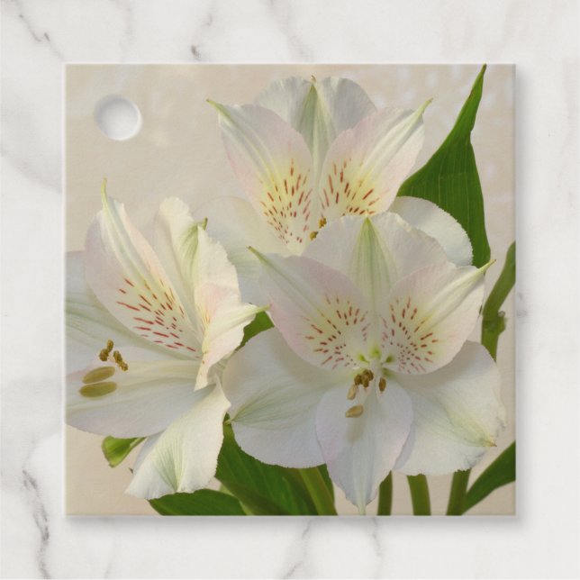 Étiquettes Cadeau Fleurs d'Alstomeria Blanche (Devant)