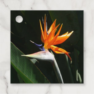 Étiquettes Cadeau Flower tropical orange paradise