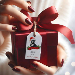 Étiquettes-cadeau Funny Sarcastic Chat Santas Casquette Noël Tags ca