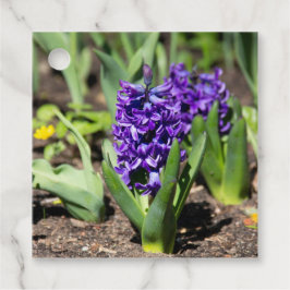 Étiquettes Cadeau Géocinthe bleu au printemps