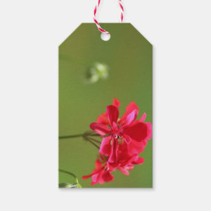 Étiquettes-cadeau Géranium rose vif Floral Editable Gift Taft