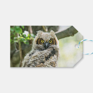 Étiquettes-cadeau Grand hibou à cornes