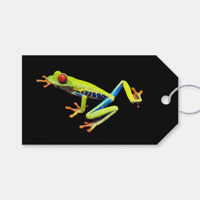 Étiquettes-cadeau Grenouille peinte aux yeux rouges (Devant (Horizontal))