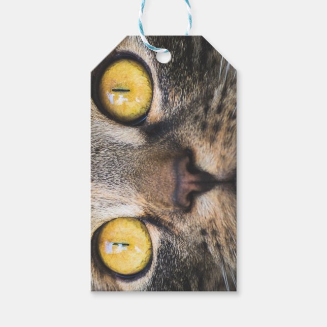 Étiquettes-cadeau Gros plan de chat avec Yellow Eyes (Devant)