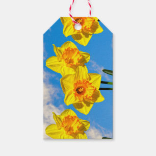 Étiquettes-cadeau Groupe de Daffodils Médaille d'or Fleurs