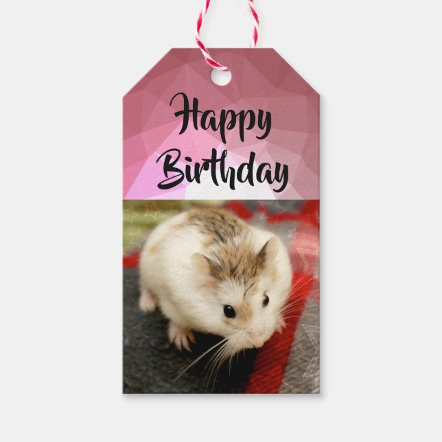 Étiquettes-cadeau Hammyville - Cute Hamster (Devant)