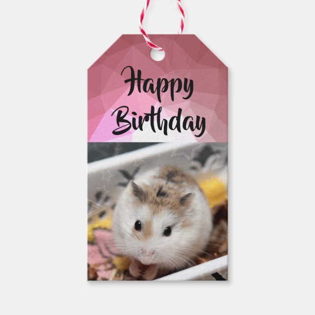 Étiquettes-cadeau Hammyville - Cute Hamster (Devant)