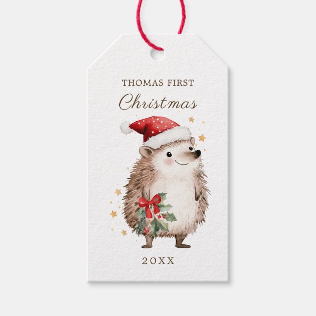 Étiquettes-cadeau Hedgehog Santa Hat Baby 1st Christmas (Devant)