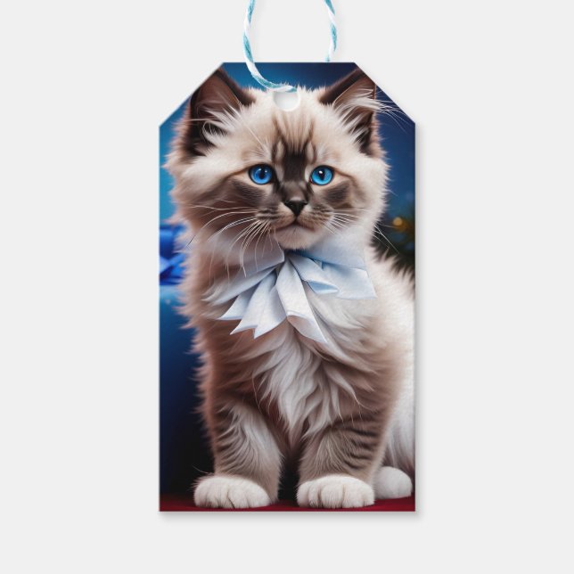 Étiquettes-cadeau Himalaya Kitten Présente arc bleu (Devant)