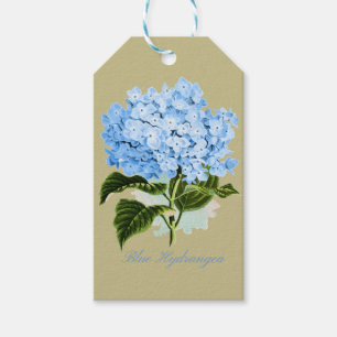 Étiquettes-cadeau Hortensia bleu