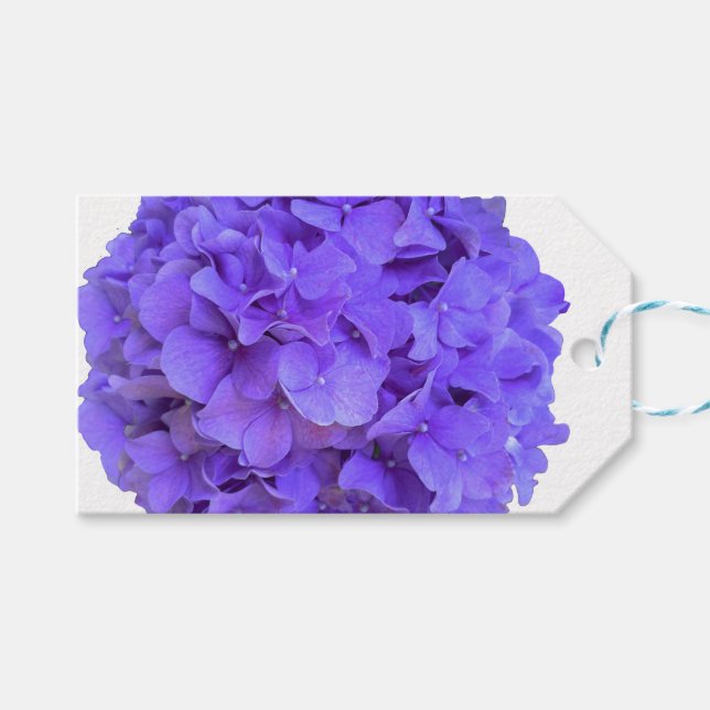Étiquettes-cadeau Hydrangeas lilas violettes fleurs violettes lavand (Devant (Horizontal))