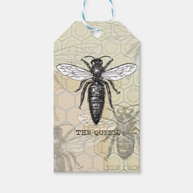 Étiquettes-cadeau Illustration d'antiquité de l'insecte de la reine  (Devant)