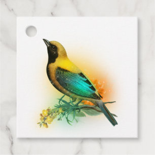 Étiquettes Cadeau Imaginaire brillant Oiseau jaune et turquoise