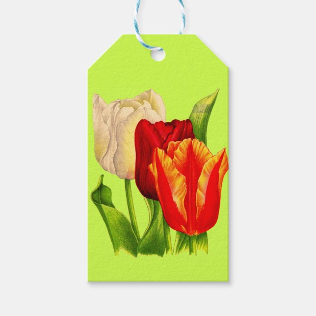 Étiquettes-cadeau impression des tulipes (Devant)