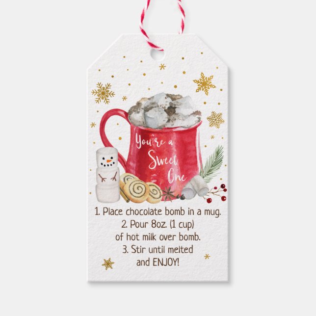 Étiquettes-cadeau Instruction sur la bombe à chocolat chaud (Devant)