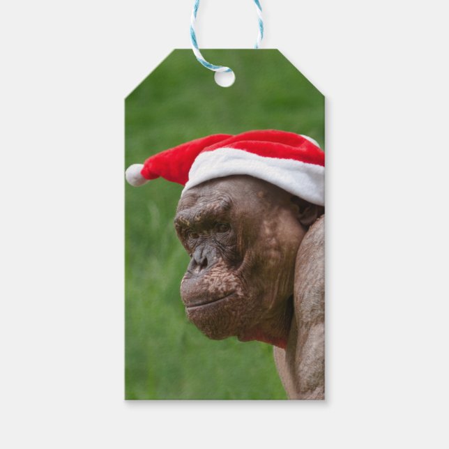Étiquettes-cadeau Jambo dans un Casquette de Noël (Devant)