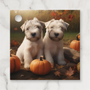 Étiquettes Cadeau Jeune Terrier Wheaten Autumn Delight Pumpkin