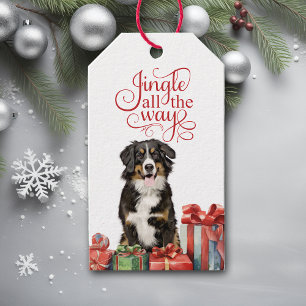Étiquettes-cadeau Jingle Tout le chemin Bernese Mountain Dog Noël