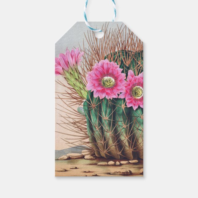 Étiquettes-cadeau joli cactus (Devant)