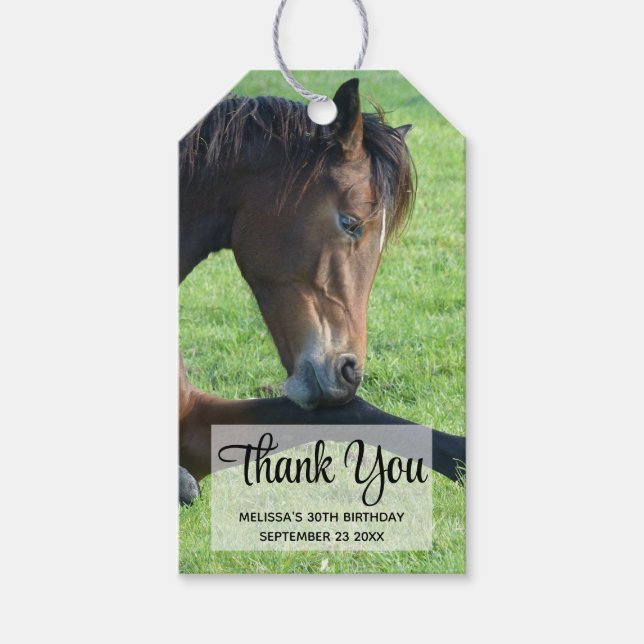 Étiquettes-cadeau Joli Cheval Brown allongé dans le Merci d'herbe (Devant)