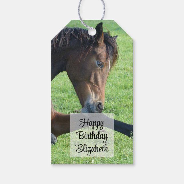 Étiquettes-cadeau Joli Cheval Brown allongé dans l'herbe Anniversair (Devant)