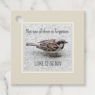 Étiquettes Cadeau Joli Oiseau Bruant Photo Bible Verse Simple Tan