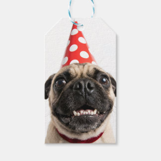 Étiquettes-cadeau Joli Pug d'anniversaire en chapeau de fête rouge