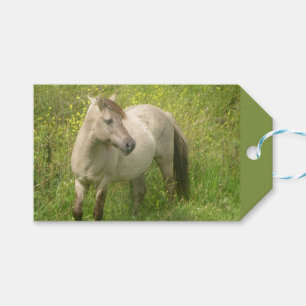 Étiquettes-cadeau Jolie croûte de cheval sauvage. Balise Cadeau text
