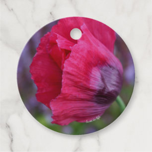Étiquettes Cadeau Jolie Fleur de Pavot Rose et Violette