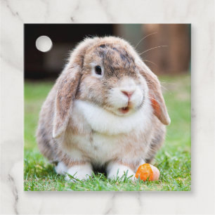 Étiquettes Cadeau lapin à oreilles de lop mignon