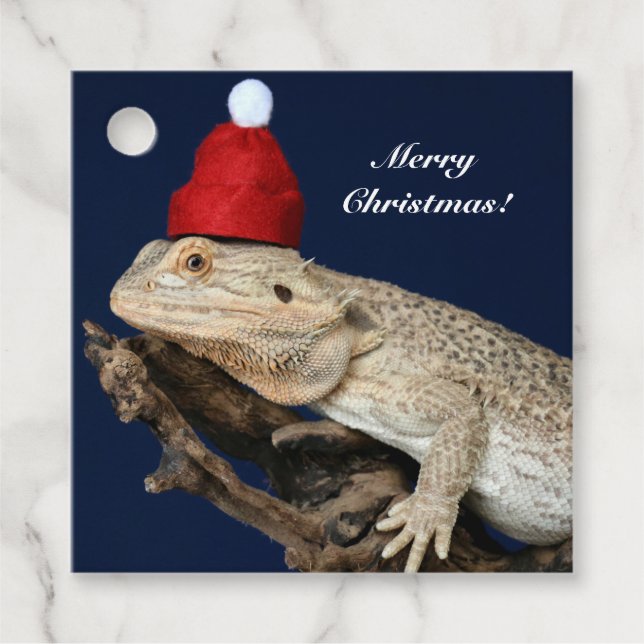 Étiquettes Cadeau Lézard Dragon Porté Personnalisé - Santa Hat (Devant)
