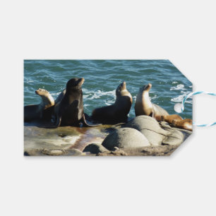 Étiquettes-cadeau Lions de la mer de San Diego