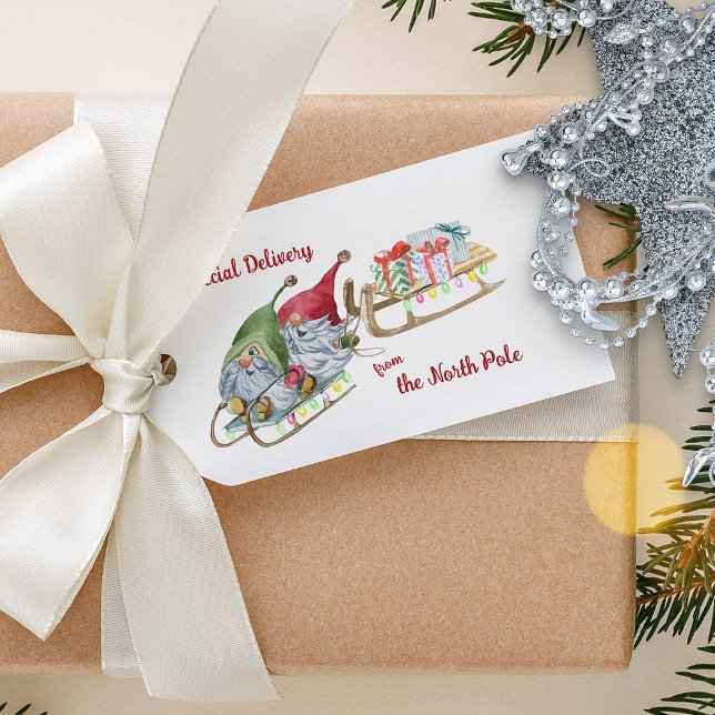 Étiquettes-cadeau Livraison spéciale Gnomes de Noël du pôle Nord (Special Delivery from the North Pole cute gnomes on a sleigh gift tags)