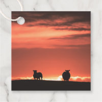 Lofoten Îles Sunset Sheep Nature Photo