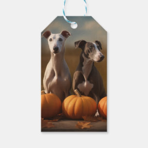 Étiquettes-cadeau Louveteau Greyhound Délice d'Automne Citrouille