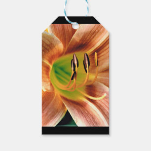 Étiquettes-cadeau Macro Daylily