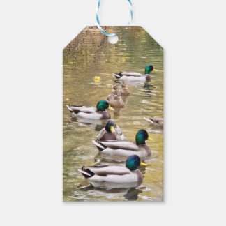 Étiquettes-cadeau Mallards sur l'étang