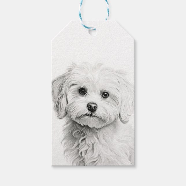 Étiquettes-cadeau Maltais personnalisable (Devant)
