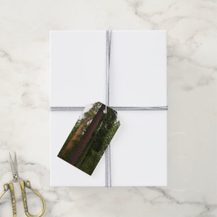 Étiquettes-cadeau Mariposa Grove dans le parc national de Yosemite