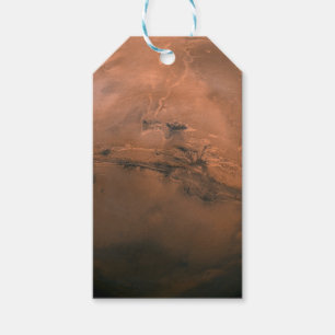 Étiquettes-cadeau Martian Terrain